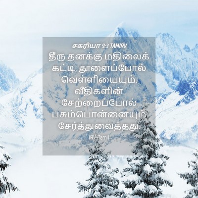 Picture 04 - சகரியா 9:3 TAMIRV - தீரு தனக்கு - Bible Verse Picture
