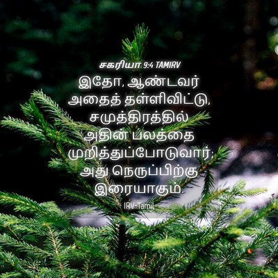 Picture 04 - சகரியா 9:4 TAMIRV - இதோ, ஆண்டவர் அதைத் - Bible Verse Picture