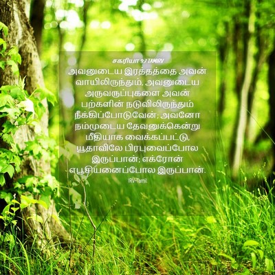 Picture 04 - சகரியா 9:7 TAMIRV - அவனுடைய இரத்தத்தை - Bible Verse Picture