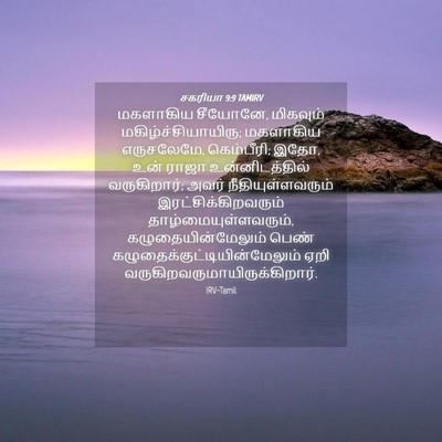 Picture 04 - சகரியா 9:9 TAMIRV - மகளாகிய சீயோனே, - Bible Verse Picture