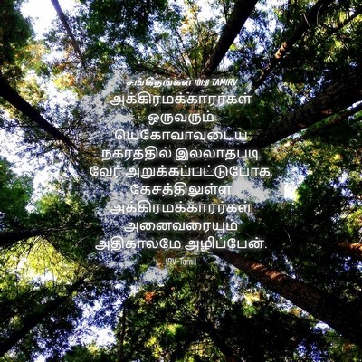 Picture 04 - சங்கீதங்கள் 101:8 TAMIRV -  - Bible Verse Picture