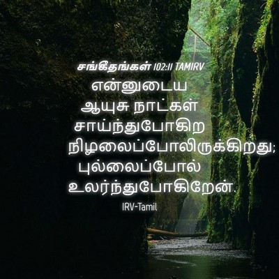 Picture 04 - சங்கீதங்கள் 102:11 TAMIRV - என்னுடைய ஆயுசு - Bible Verse Picture