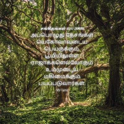 Picture 04 - சங்கீதங்கள் 102:17 TAMIRV - அப்பொழுது - Bible Verse Picture