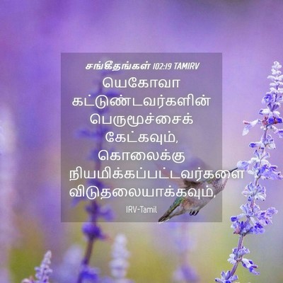Picture 04 - சங்கீதங்கள் 102:19 TAMIRV - யெகோவா - Bible Verse Picture