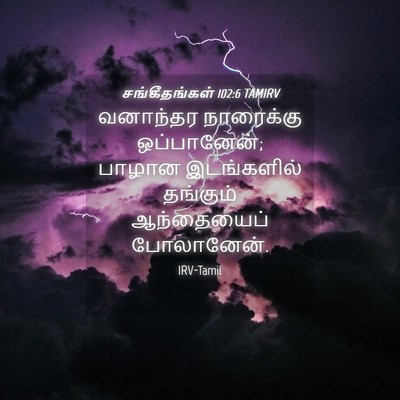 Picture 04 - சங்கீதங்கள் 102:6 TAMIRV - வனாந்தர நாரைக்கு - Bible Verse Picture