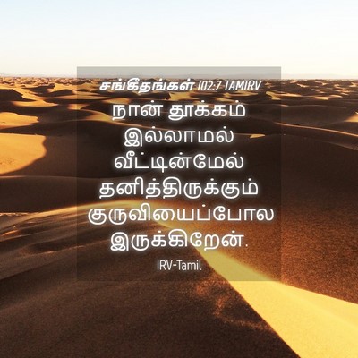 Picture 04 - சங்கீதங்கள் 102:7 TAMIRV - நான் தூக்கம் - Bible Verse Picture