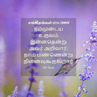 Picture 04 - சங்கீதங்கள் 103:14 TAMIRV - நம்முடைய உருவம் - Bible Verse Picture