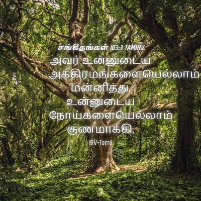 Picture 04 - சங்கீதங்கள் 103:3 TAMIRV - அவர் உன்னுடைய - Bible Verse Picture