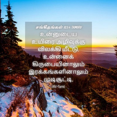 Picture 04 - சங்கீதங்கள் 103:4 TAMIRV - உன்னுடைய உயிரை - Bible Verse Picture