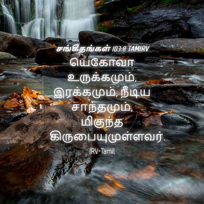 Picture 04 - சங்கீதங்கள் 103:8 TAMIRV - யெகோவா - Bible Verse Picture