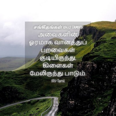 Picture 04 - சங்கீதங்கள் 104:12 TAMIRV - அவைகளின் ஓரமாக - Bible Verse Picture