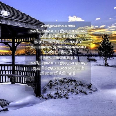 Picture 04 - சங்கீதங்கள் 104:15 TAMIRV - மனிதனுடைய - Bible Verse Picture