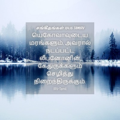 Picture 04 - சங்கீதங்கள் 104:16 TAMIRV - யெகோவாவுடைய - Bible Verse Picture