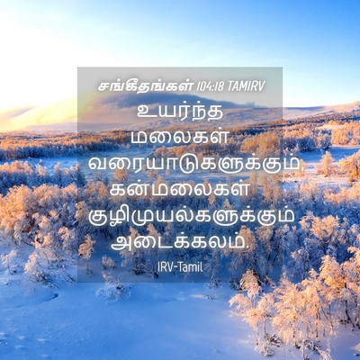Picture 04 - சங்கீதங்கள் 104:18 TAMIRV - உயர்ந்த மலைகள் - Bible Verse Picture