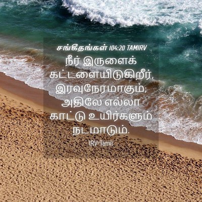 Picture 04 - சங்கீதங்கள் 104:20 TAMIRV - நீர் இருளைக் - Bible Verse Picture