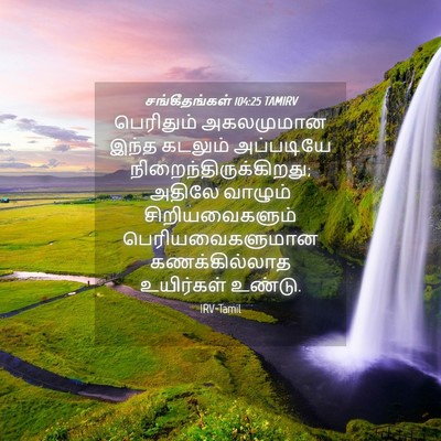 Picture 04 - சங்கீதங்கள் 104:25 TAMIRV - பெரிதும் அகலமுமான - Bible Verse Picture
