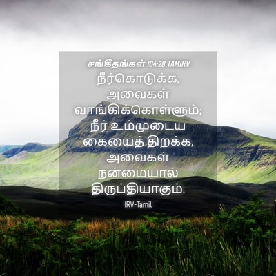 Picture 04 - சங்கீதங்கள் 104:28 TAMIRV - நீர்கொடுக்க, - Bible Verse Picture