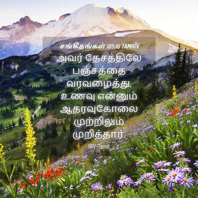 Picture 04 - சங்கீதங்கள் 105:16 TAMIRV - அவர் தேசத்திலே - Bible Verse Picture