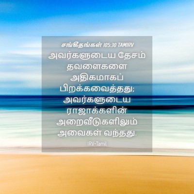 Picture 04 - சங்கீதங்கள் 105:30 TAMIRV - அவர்களுடைய தேசம் - Bible Verse Picture