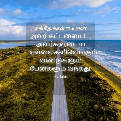 Picture 04 - சங்கீதங்கள் 105:31 TAMIRV - அவர் கட்டளையிட, - Bible Verse Picture
