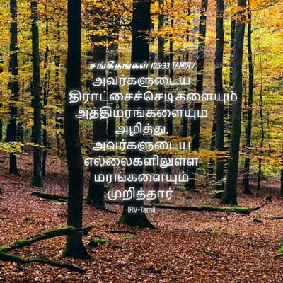 Picture 04 - சங்கீதங்கள் 105:33 TAMIRV - அவர்களுடைய - Bible Verse Picture