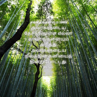 Picture 04 - சங்கீதங்கள் 105:35 TAMIRV - அவர்களுடைய - Bible Verse Picture