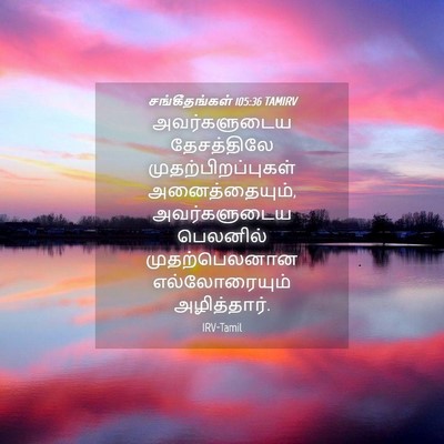Picture 04 - சங்கீதங்கள் 105:36 TAMIRV - அவர்களுடைய - Bible Verse Picture
