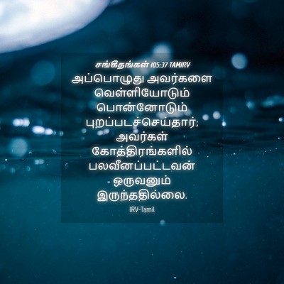 Picture 04 - சங்கீதங்கள் 105:37 TAMIRV - அப்பொழுது அவர்களை - Bible Verse Picture