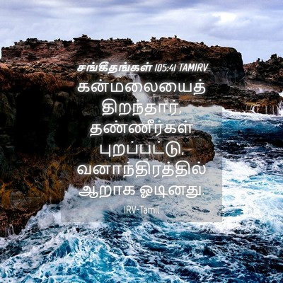 Picture 04 - சங்கீதங்கள் 105:41 TAMIRV - கன்மலையைத் - Bible Verse Picture