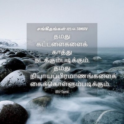 Picture 04 - சங்கீதங்கள் 105:44 TAMIRV - தமது கட்டளைகளைக் - Bible Verse Picture
