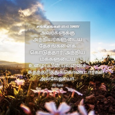 Picture 04 - சங்கீதங்கள் 105:45 TAMIRV - அவர்களுக்கு - Bible Verse Picture