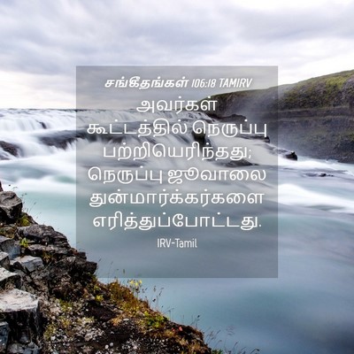 Picture 04 - சங்கீதங்கள் 106:18 TAMIRV - அவர்கள் - Bible Verse Picture
