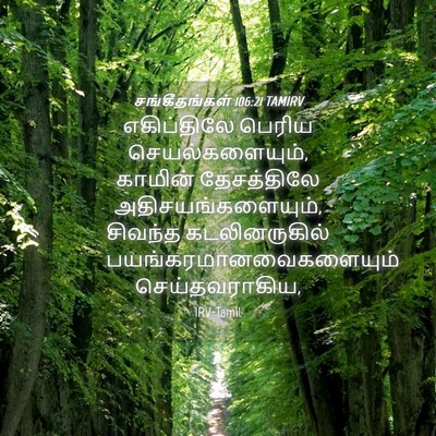 Picture 04 - சங்கீதங்கள் 106:21 TAMIRV - எகிப்திலே பெரிய - Bible Verse Picture