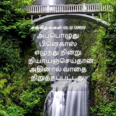 Picture 04 - சங்கீதங்கள் 106:30 TAMIRV - அப்பொழுது - Bible Verse Picture