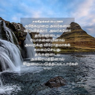Picture 04 - சங்கீதங்கள் 106:43 TAMIRV - அநேகமுறை அவர்களை - Bible Verse Picture