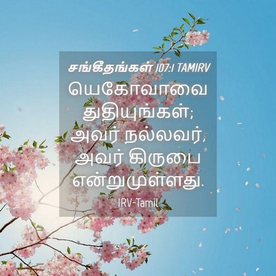 Picture 04 - சங்கீதங்கள் 107:1 TAMIRV - யெகோவாவை - Bible Verse Picture