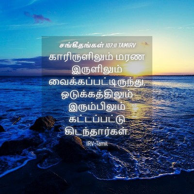 Picture 04 - சங்கீதங்கள் 107:11 TAMIRV - காரிருளிலும் மரண - Bible Verse Picture