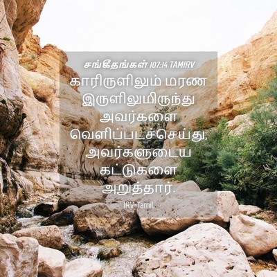Picture 04 - சங்கீதங்கள் 107:14 TAMIRV - காரிருளிலும் மரண - Bible Verse Picture