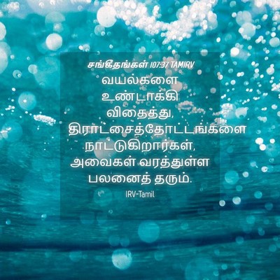 Picture 04 - சங்கீதங்கள் 107:37 TAMIRV - வயல்களை உண்டாக்கி - Bible Verse Picture