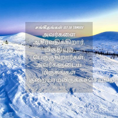 Picture 04 - சங்கீதங்கள் 107:38 TAMIRV - அவர்களை - Bible Verse Picture
