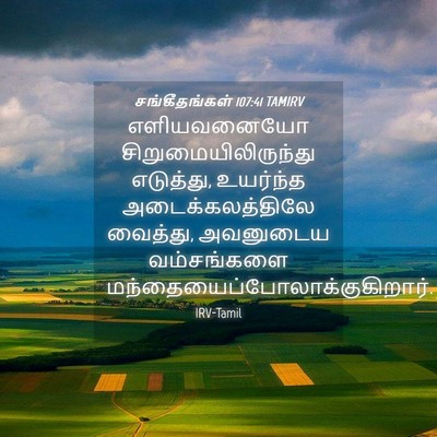 Picture 04 - சங்கீதங்கள் 107:41 TAMIRV - எளியவனையோ - Bible Verse Picture