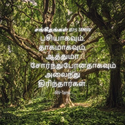 Picture 04 - சங்கீதங்கள் 107:5 TAMIRV - பசியாகவும், - Bible Verse Picture