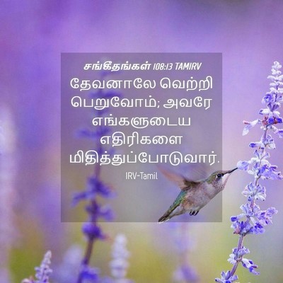 Picture 04 - சங்கீதங்கள் 108:13 TAMIRV - தேவனாலே வெற்றி - Bible Verse Picture