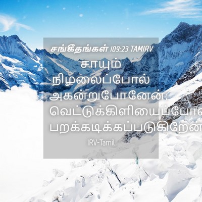 Picture 04 - சங்கீதங்கள் 109:23 TAMIRV - சாயும் - Bible Verse Picture