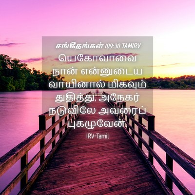 Picture 04 - சங்கீதங்கள் 109:30 TAMIRV - யெகோவாவை நான் - Bible Verse Picture