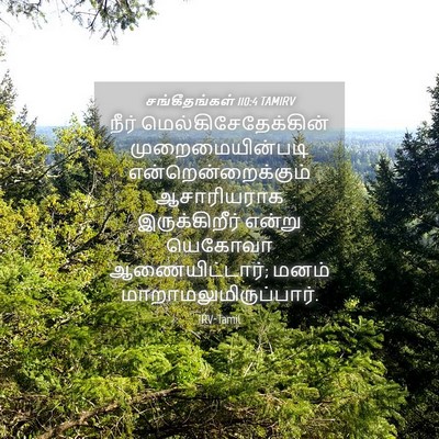 Picture 04 - சங்கீதங்கள் 110:4 TAMIRV - நீர் - Bible Verse Picture