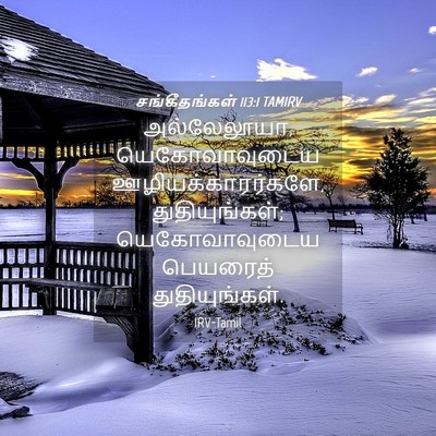 Picture 04 - சங்கீதங்கள் 113:1 TAMIRV - அல்லேலூயா, - Bible Verse Picture