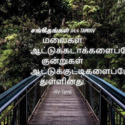 Picture 04 - சங்கீதங்கள் 114:4 TAMIRV - மலைகள் - Bible Verse Picture