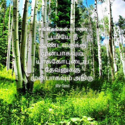 Picture 04 - சங்கீதங்கள் 114:7 TAMIRV - பூமியே, நீ - Bible Verse Picture