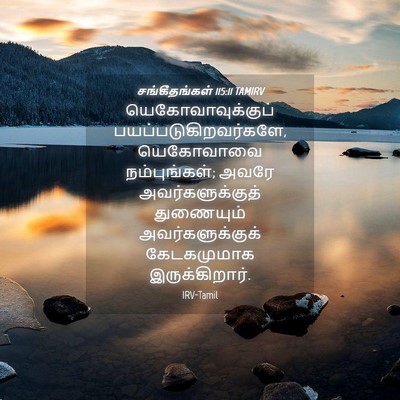 Picture 04 - சங்கீதங்கள் 115:11 TAMIRV - யெகோவாவுக்குப் - Bible Verse Picture